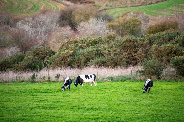 Photo of property in 46d Lockerbie Lane, Whatawhata, Hamilton, 3289