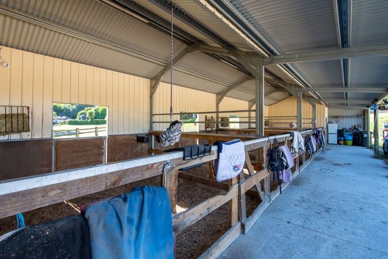 Photo of property in 94 Fergusson Gully Road, Karapiro, Cambridge, 3494