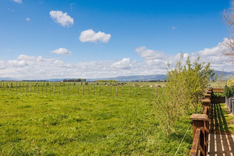 Photo of property in 485 Poplar Road, Opiki, Palmerston North, 4474