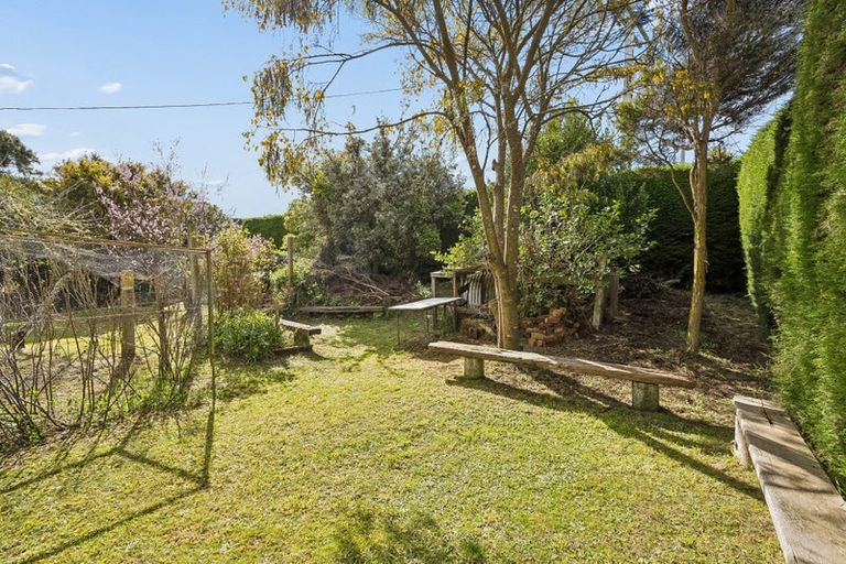 Photo of property in 3 Esplanade, Warrington, Waikouaiti, 9471