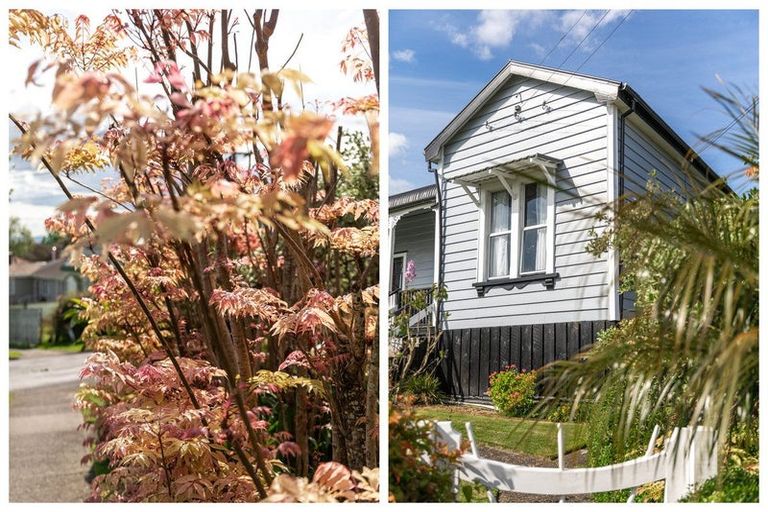 Photo of property in 16 Hill Street, Paeroa, 3600