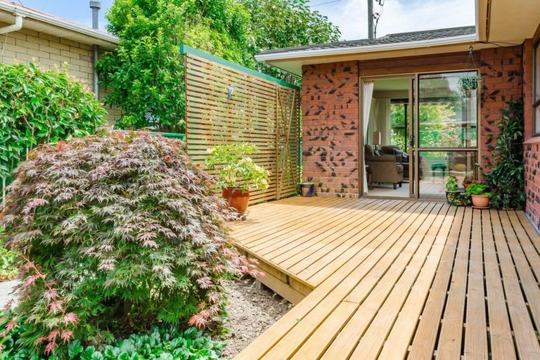 Photo of property in 50 Rimu Street, Waikanae, 5036