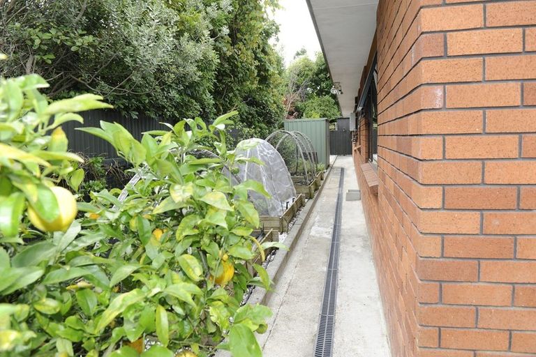 Photo of property in 87 Mcgregor Street, Milson, Palmerston North, 4414