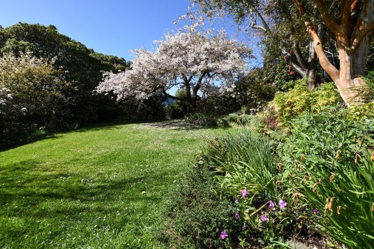 Photo of property in 61 Braeview Crescent, Maori Hill, Dunedin, 9010