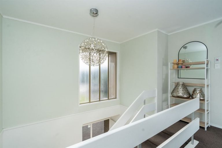 Photo of property in 66 Hazelwood Avenue, Dinsdale, Hamilton, 3204