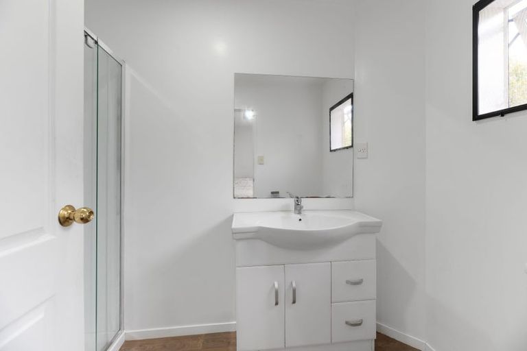 Photo of property in 55a Marion Avenue, Mount Roskill, Auckland, 1041