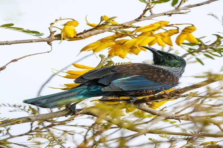 Photo of property in 3/6 Whaui Street, Vogeltown, Wellington, 6021