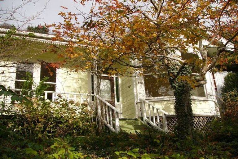 Photo of property in 203 Glenmore Street, Kelburn, Wellington, 6012