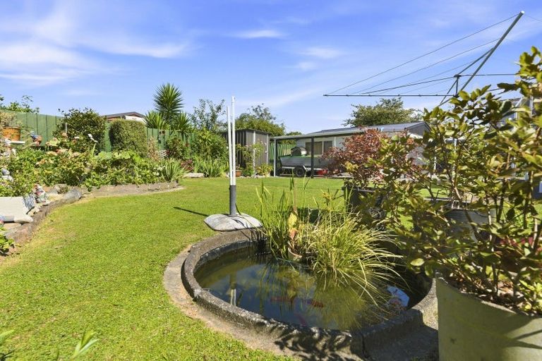 Photo of property in 54 Kennedy Drive, Levin, 5510