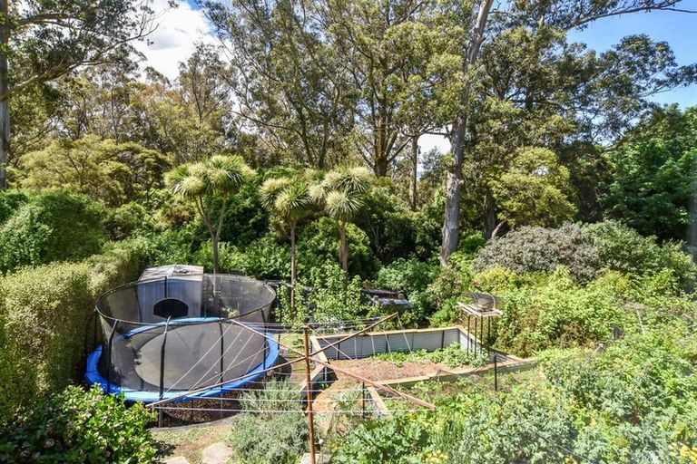 Photo of property in 47 Cockerell Street, Brockville, Dunedin, 9011