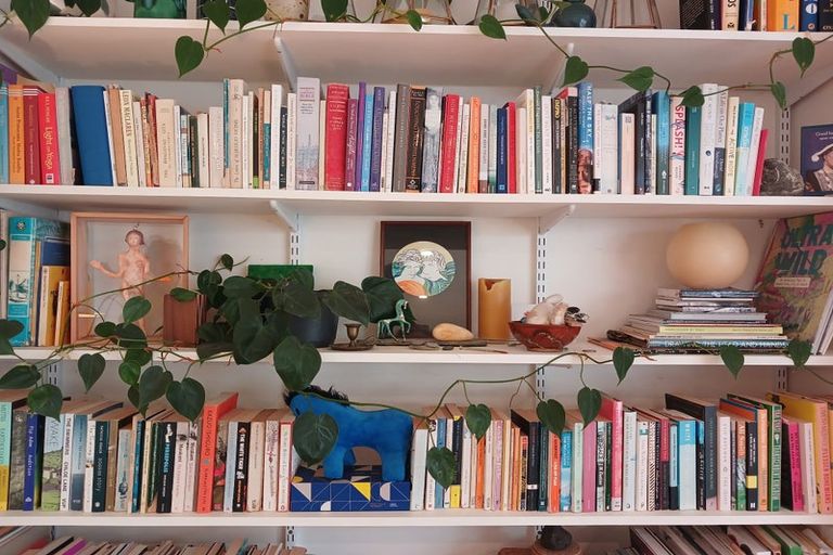 Photo of property in 22 Grass Street, Roseneath, Wellington, 6011