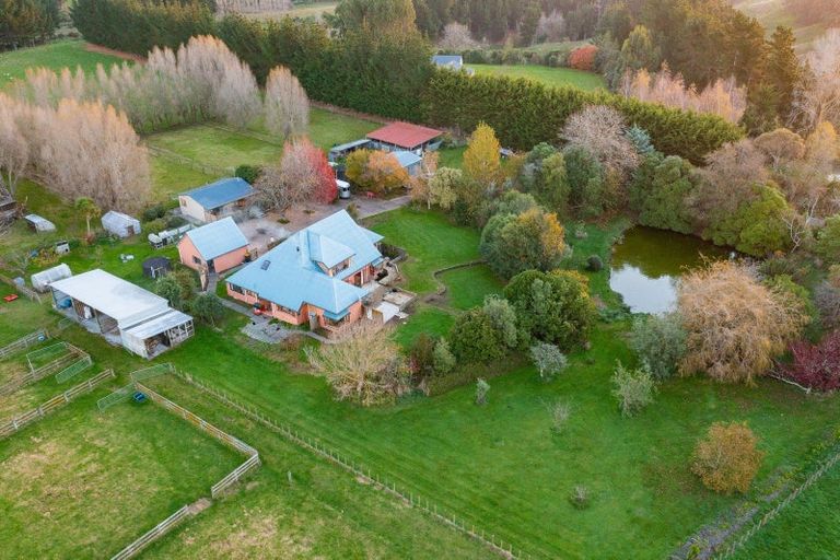 Photo of property in 153 Halcombe Road, Feilding, 4775