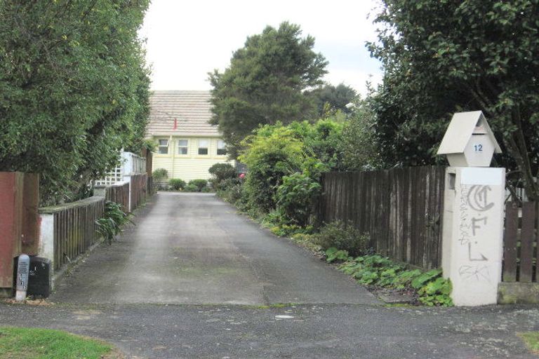 Photo of property in 12 Haultain Street, Fairfield, Hamilton, 3214