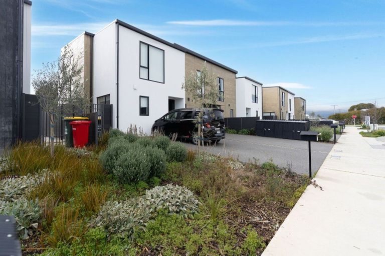 Photo of property in 59 Pipi Place, Levin, 5510