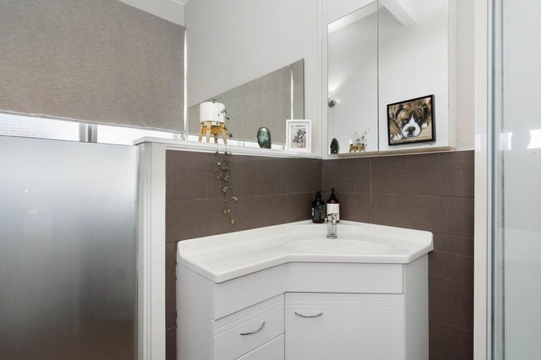 Photo of property in 11 Dyer Street, Whitiora, Hamilton, 3200