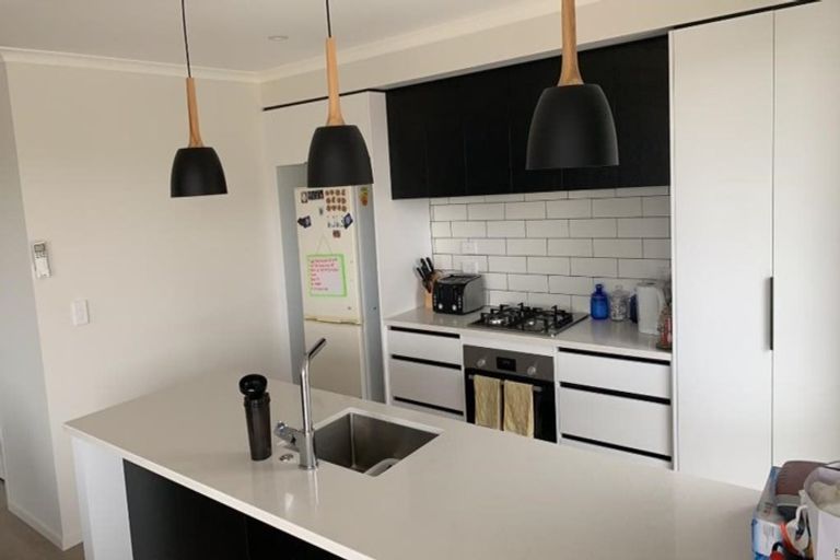 Photo of property in 4 Pukenga Avenue, Baverstock, Hamilton, 3200