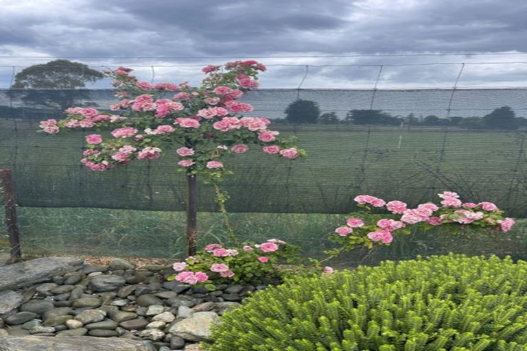 Photo of property in 5 Lanark Street, Lumsden, 9794