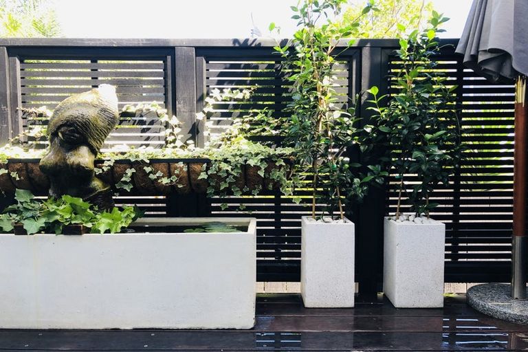 Photo of property in 6/29a Birdwood Crescent, Parnell, Auckland, 1052