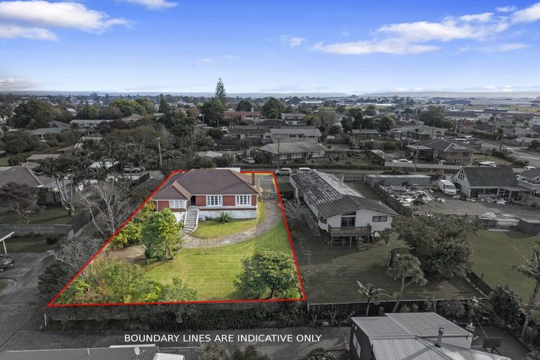 Photo of property in 29 Orams Road, Hillpark, Auckland, 2102