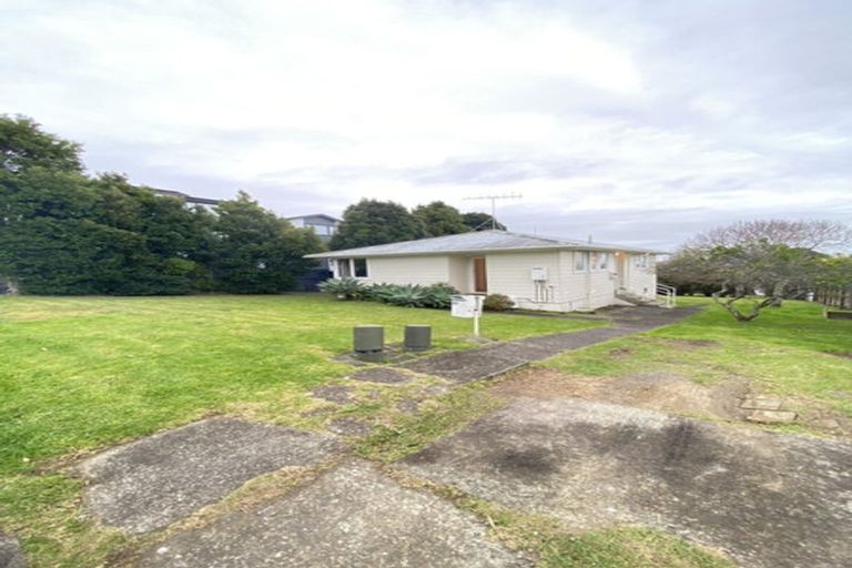 Photo of property in 51 Potter Avenue, Northcote, Auckland, 0627