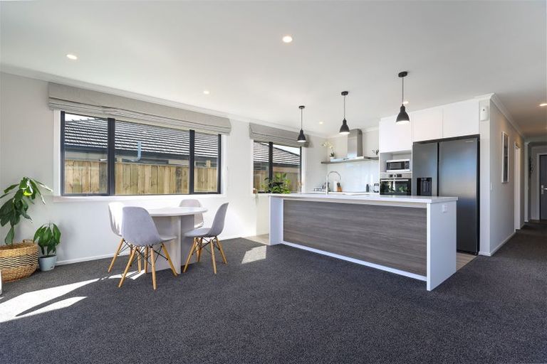 Photo of property in 20 Drayton Street, Richmond, 7020