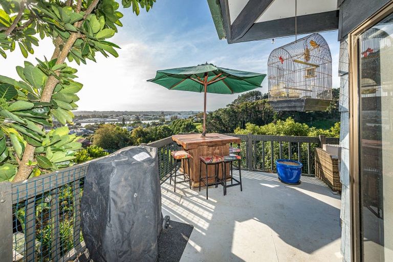 Photo of property in 14 Ngatarua Road, Putiki, Whanganui, 4500