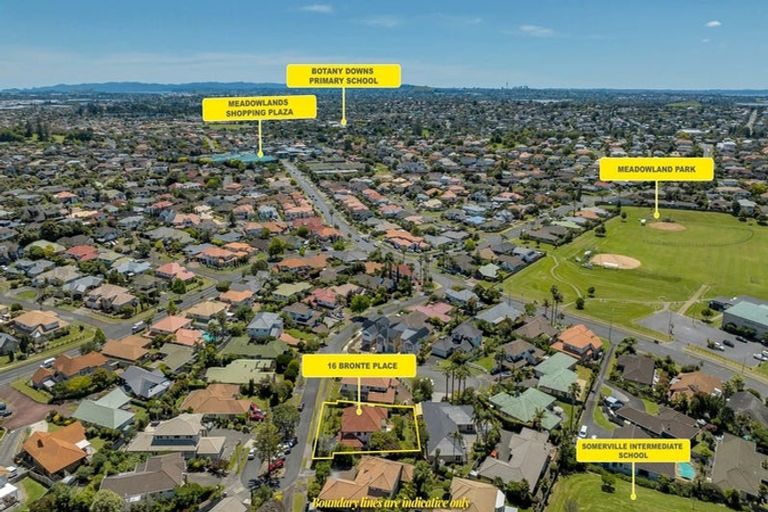Photo of property in 16 Bronte Place, Somerville, Auckland, 2014