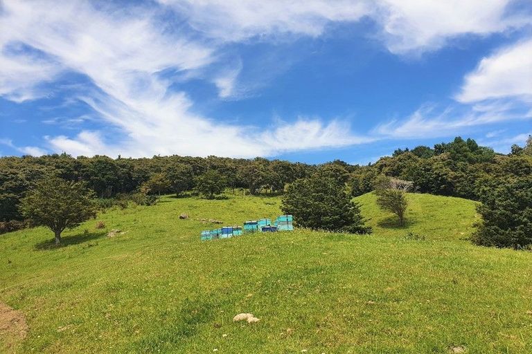 Photo of property in 1197 Horeke Road, Horeke, Okaihau, 0475