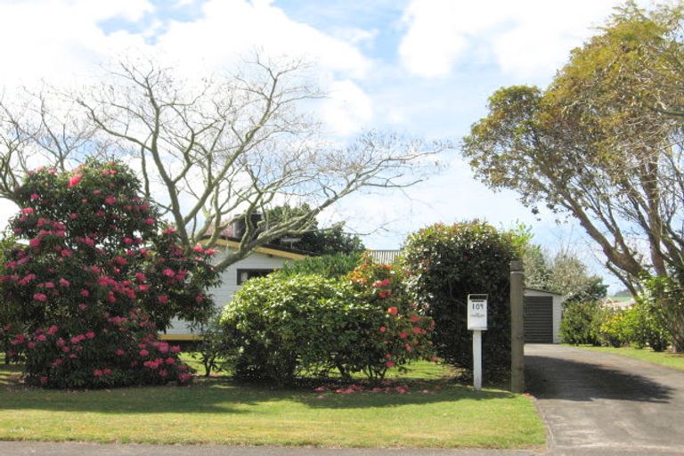 Photo of property in 109 Robinson Road, Whitianga, 3510