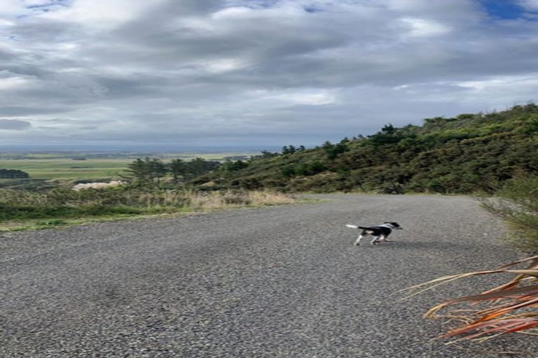 Photo of property in 323 Ngahere Park Road, Turitea, Palmerston North, 4472