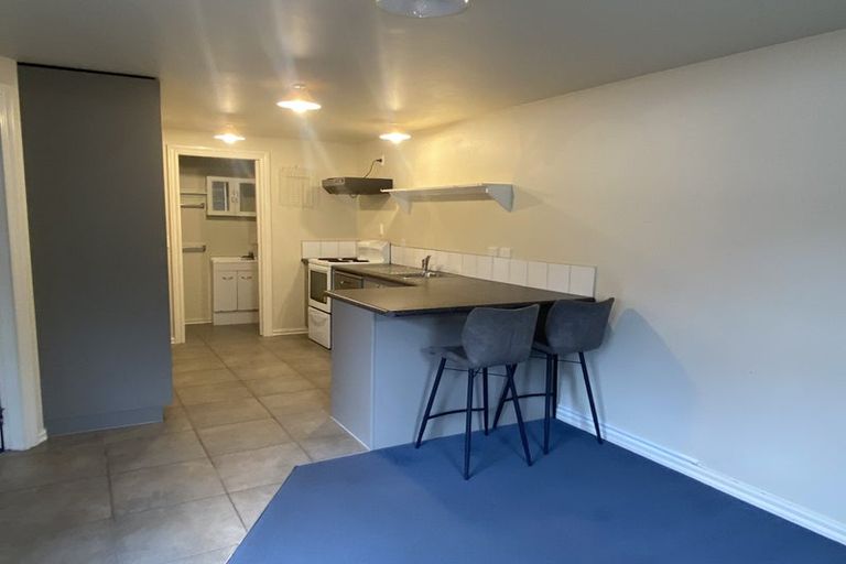 Photo of property in 60 Austin Street, Mount Victoria, Wellington, 6011