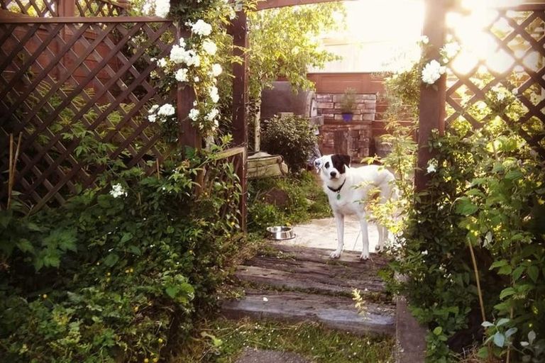 Photo of property in 2/57 Solar Road, Glen Eden, Auckland, 0602