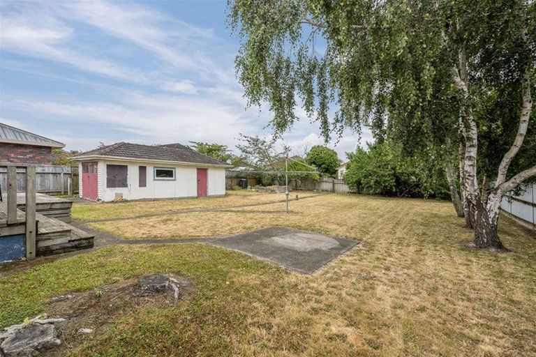 Photo of property in 19 Carlisle Street, Levin, 5510