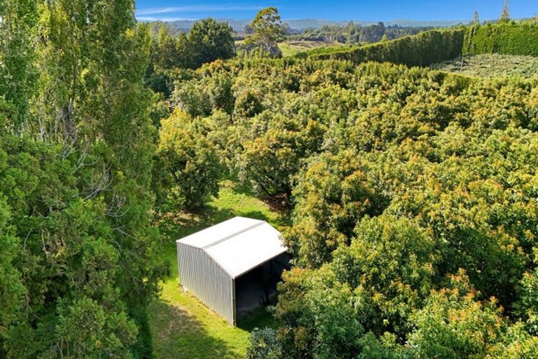 Photo of property in 138 Te Puna Road, Te Puna, Tauranga, 3174