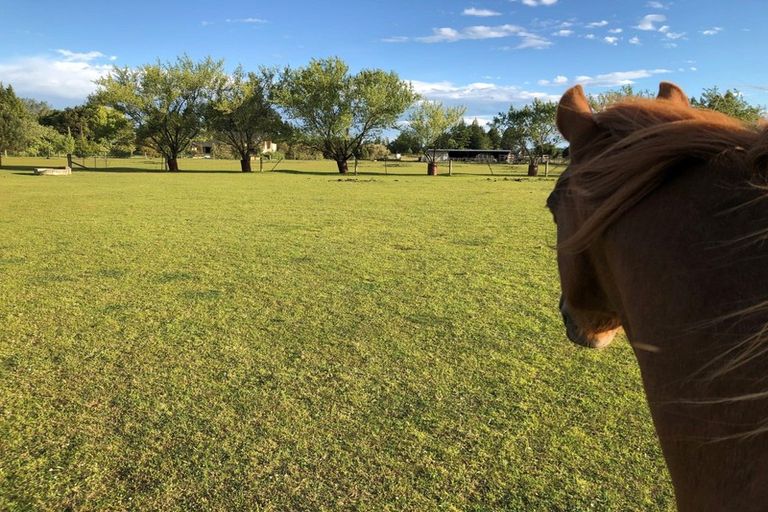 Photo of property in 37 Kerrytown Road, Levels, Timaru, 7975