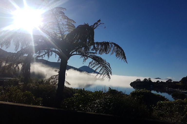 Photo of property in 192 Elaine Bay Road, Elaine Bay, French Pass, 7193