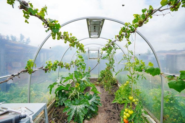 Photo of property in 181 Venus Street, Strathern, Invercargill, 9812