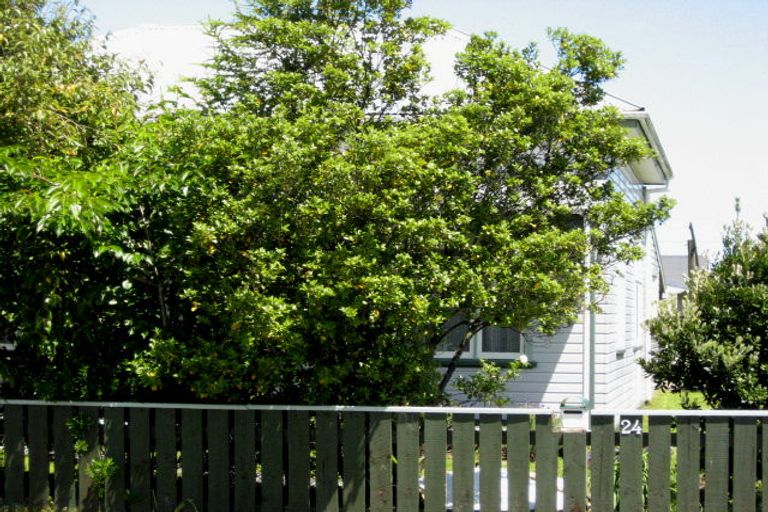 Photo of property in 24 Romilly Street, Westport, 7825