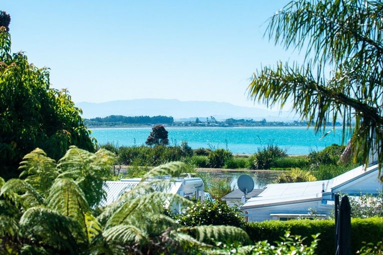 Photo of property in 43 Kuku Street, Te Awanga, 4102