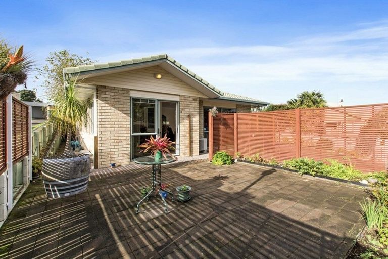 Photo of property in 159a Maungatapu Road, Maungatapu, Tauranga, 3112
