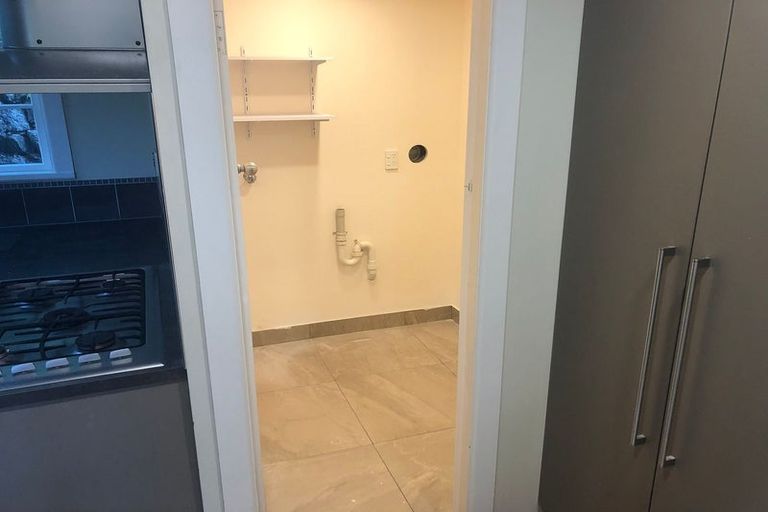 Photo of property in 19 Priscilla Crescent, Mornington, Wellington, 6021