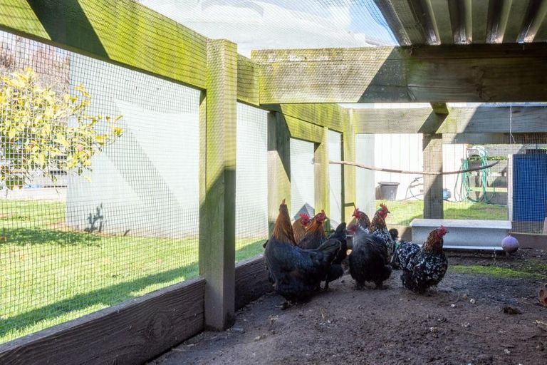 Photo of property in 107b State Highway 30, Tikitere, Rotorua, 3074