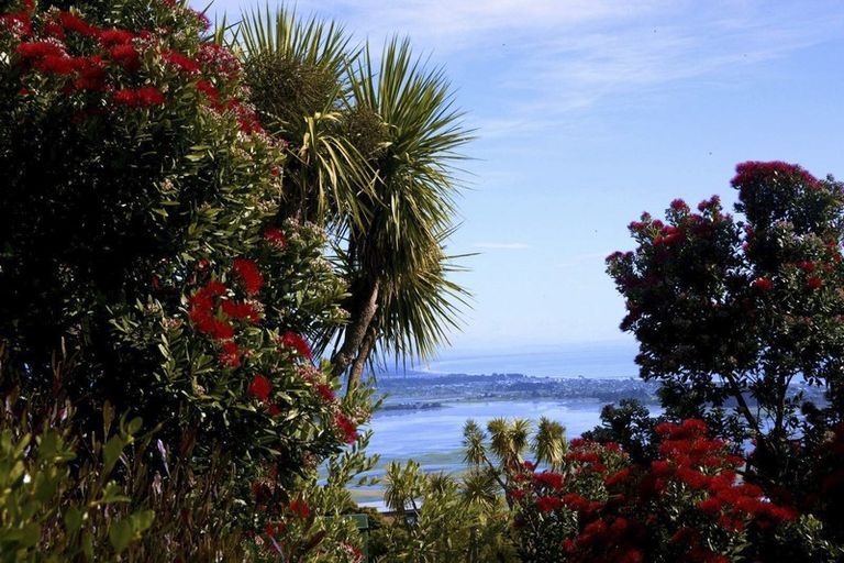 Photo of property in 199 Glenstrae Road, Redcliffs, Christchurch, 8081