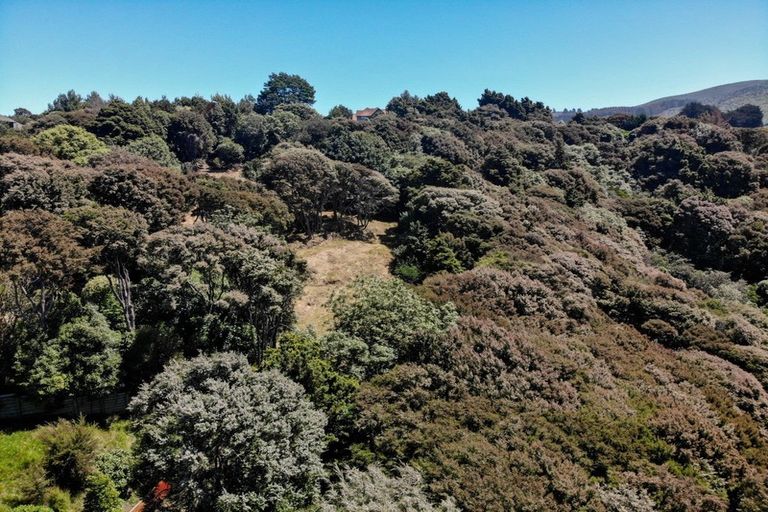 Photo of property in 24 Fred Hollows Way, Glenleith, Dunedin, 9010