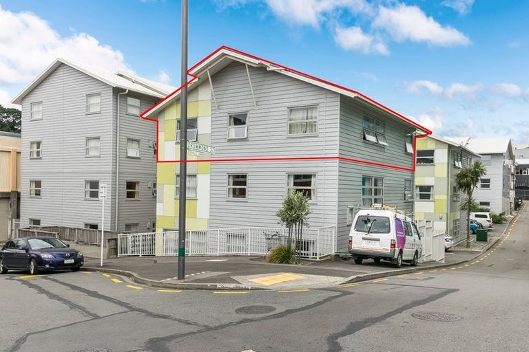 Photo of property in Drummond Street Flats, 28/19 Drummond Street, Mount Cook, Wellington, 6021
