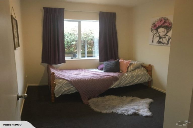 Photo of property in 21 Bridge Street, Southbridge, 7602