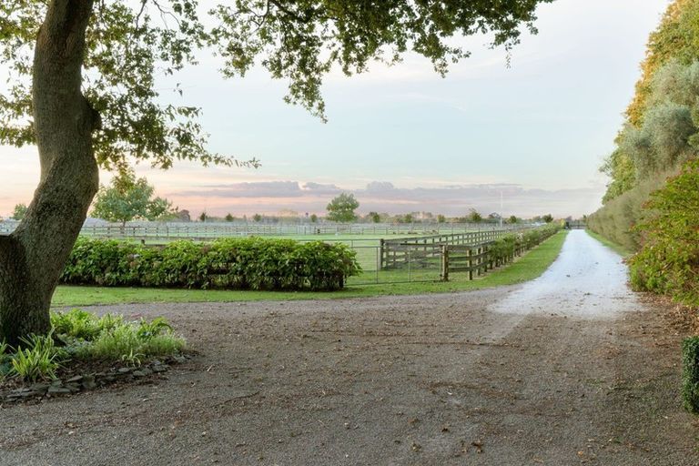 Photo of property in 244 Mystery Creek Road, Ohaupo, 3881