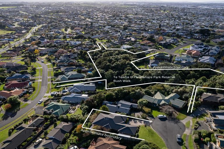 Photo of property in 15 Tironui Terrace, Western Heights, Hamilton, 3200