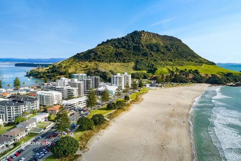 Photo of property in 28a Campbell Road, Mount Maunganui, 3116