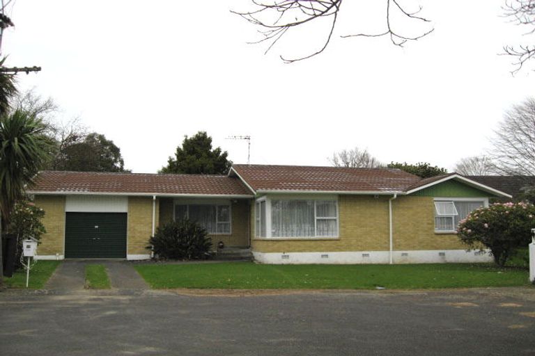 Photo of property in 25 Hobson Street, Levin, 5510